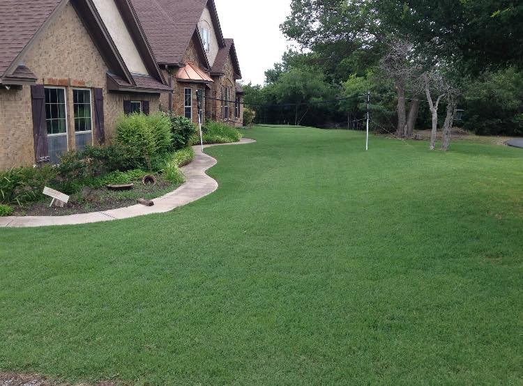 Ross Pest and Lawn | 6760 E Bankhead Hwy, Aledo, TX 76008, USA | Phone: (817) 341-7677