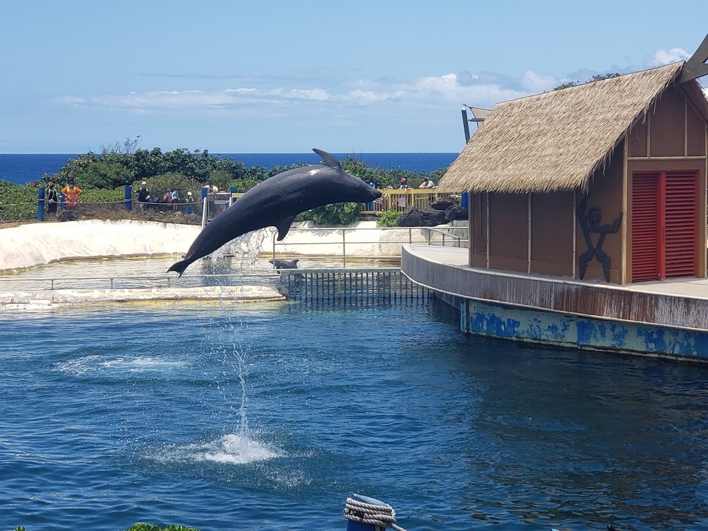 Sea Life Park Hawaii | 41-202 Kalanianaʻole Hwy, Waimānalo, HI 96795 | Phone: (808) 259-2500