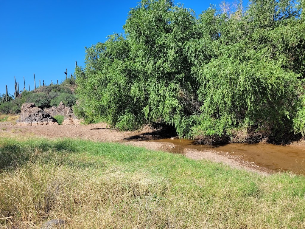 Spur Cross Ranch Conservation | 44000 N Spur Cross Rd, Cave Creek, AZ 85331, USA | Phone: (602) 506-2930