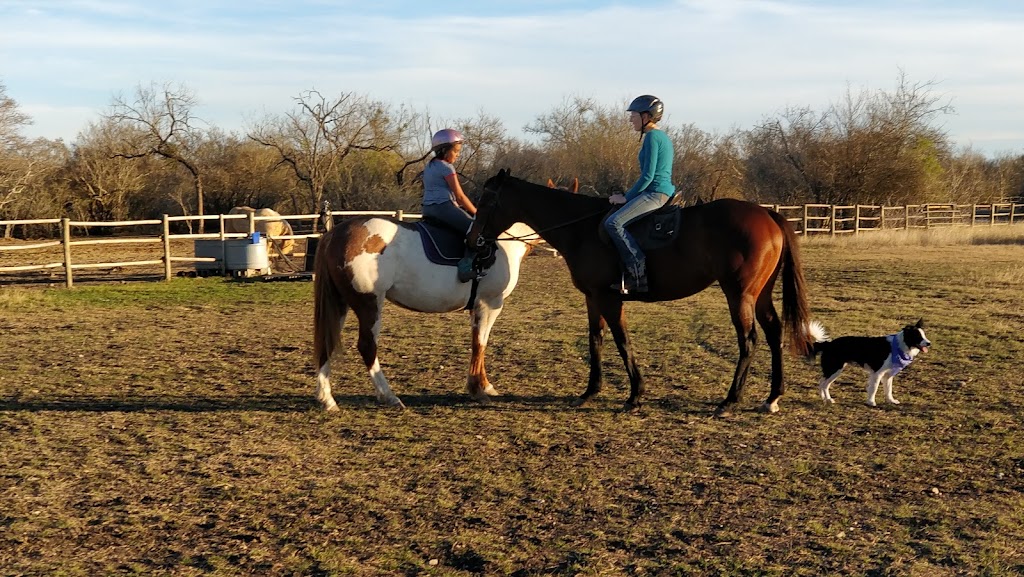 SpiritHorse Horsemanship School | 345 Private Rd 5754, Castroville, TX 78009, USA | Phone: (210) 593-8274