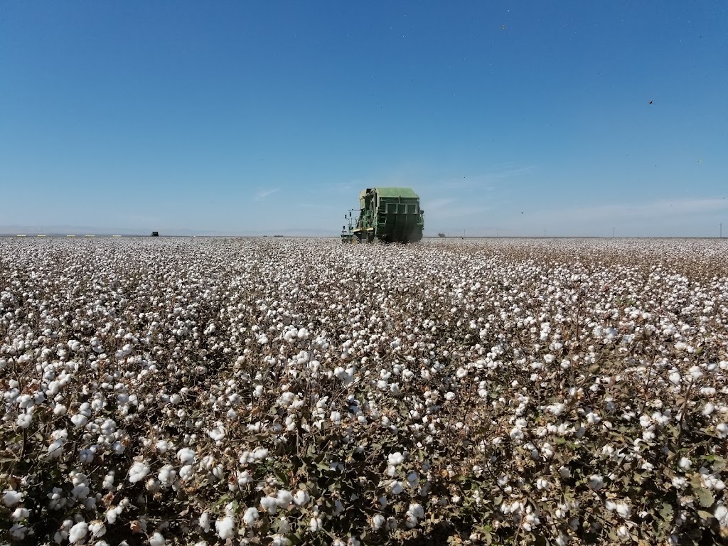 Ferguson Harvesting Inc | 16672 10th St, Huron, CA 93234, USA | Phone: (559) 945-9276