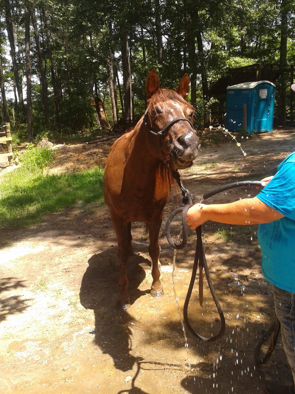 C 2 it Equine Therapy Ranch | 3231 Lenora Church Rd, Snellville, GA 30039, USA | Phone: (404) 731-2143