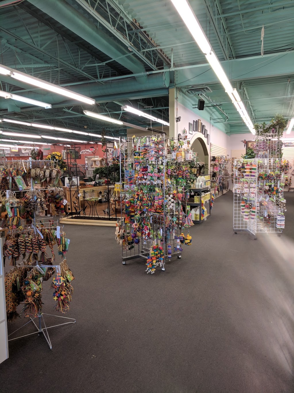 Varietees Exotic Bird Store | 60 Meramec Valley Plaza, Valley Park, MO 63088 | Phone: (636) 225-2473