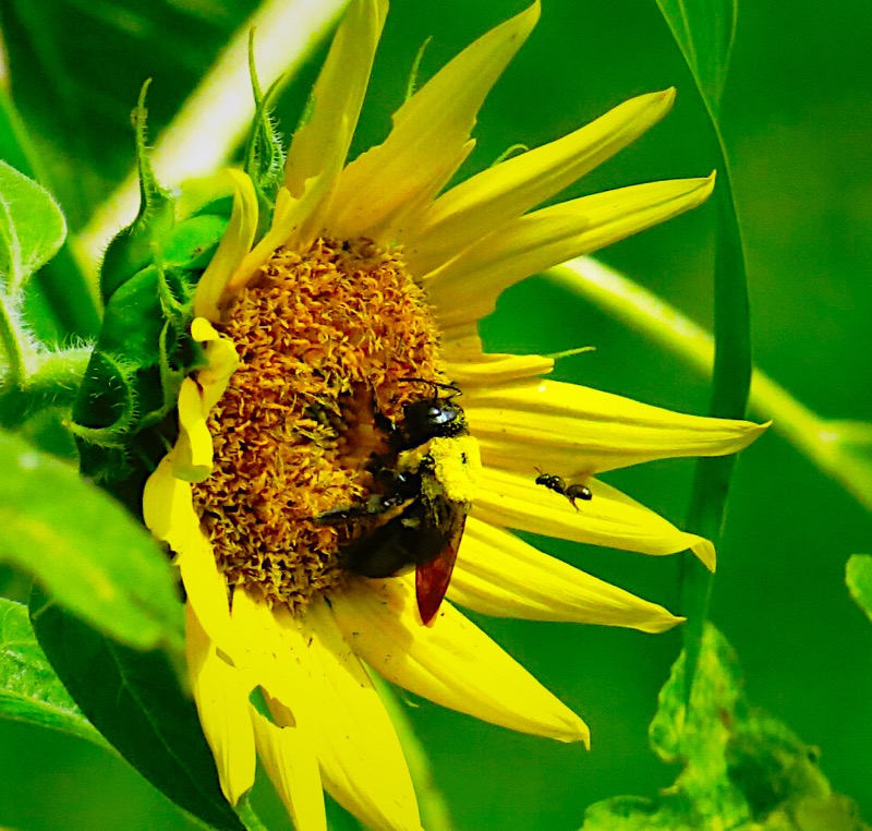 LMC Peters Cartridge Riverfront Nature Preserve | Maineville, OH 45039, USA | Phone: (513) 965-9344