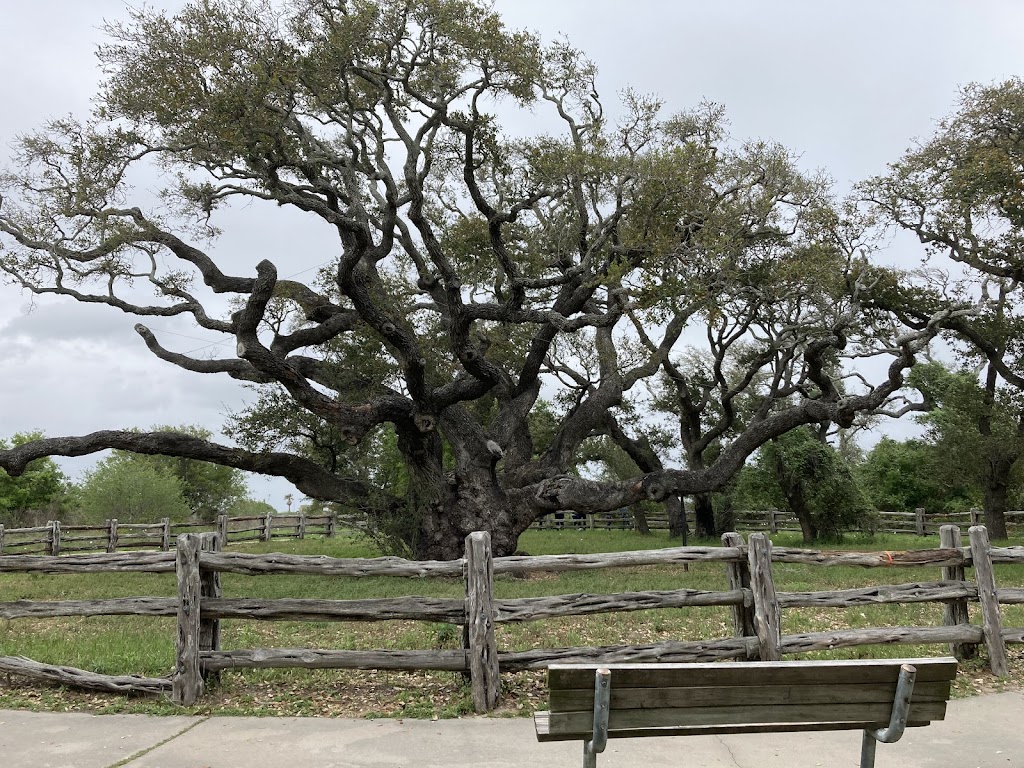 Goose Island State Park | 202 S Palmetto St, Rockport, TX 78382, USA | Phone: (361) 729-2858