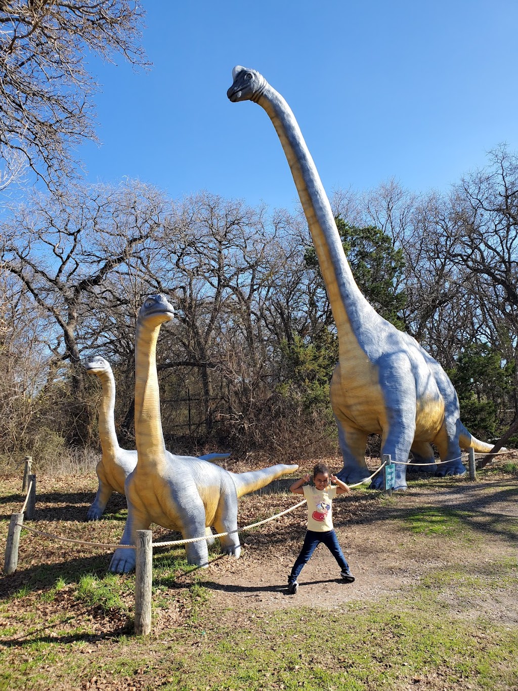 Fossil Rim Wildlife Center-Childrens Animal Center | 1789 Co Rd 2009, Glen Rose, TX 76043, USA | Phone: (254) 897-2960