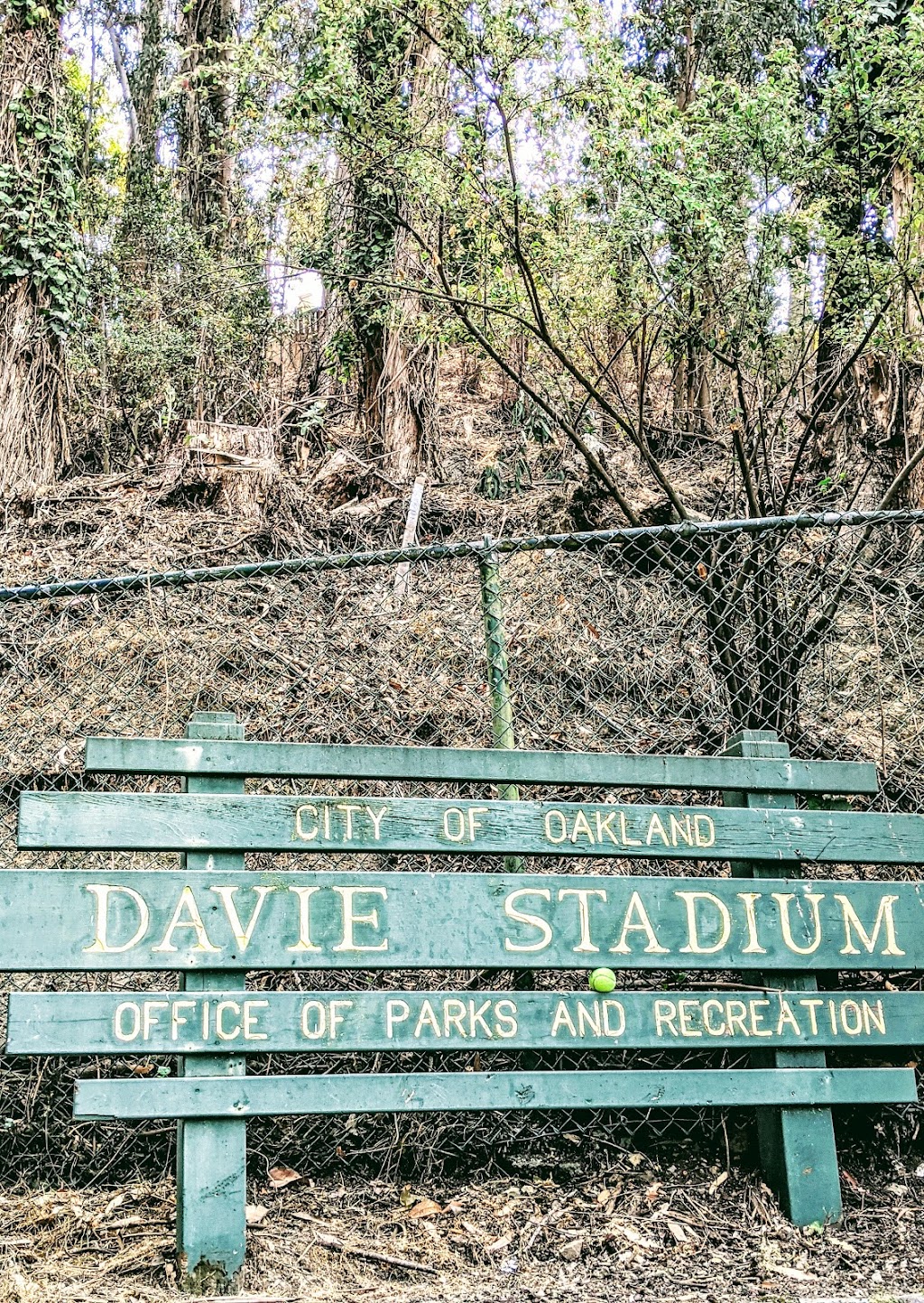 Oakland Davie Tennis Stadium | 198 Oak Rd, Oakland, CA 94610, USA | Phone: (510) 444-5663