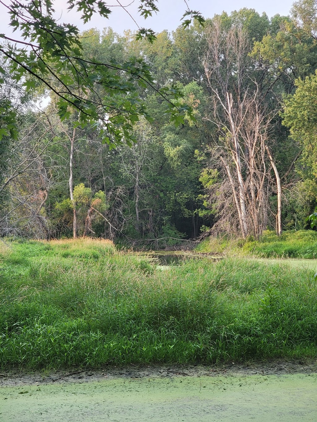 Eugene H. Hagel Arboretum | 61st Avenue North and, Major Ave N, Brooklyn Center, MN 55430, USA | Phone: (763) 561-2760