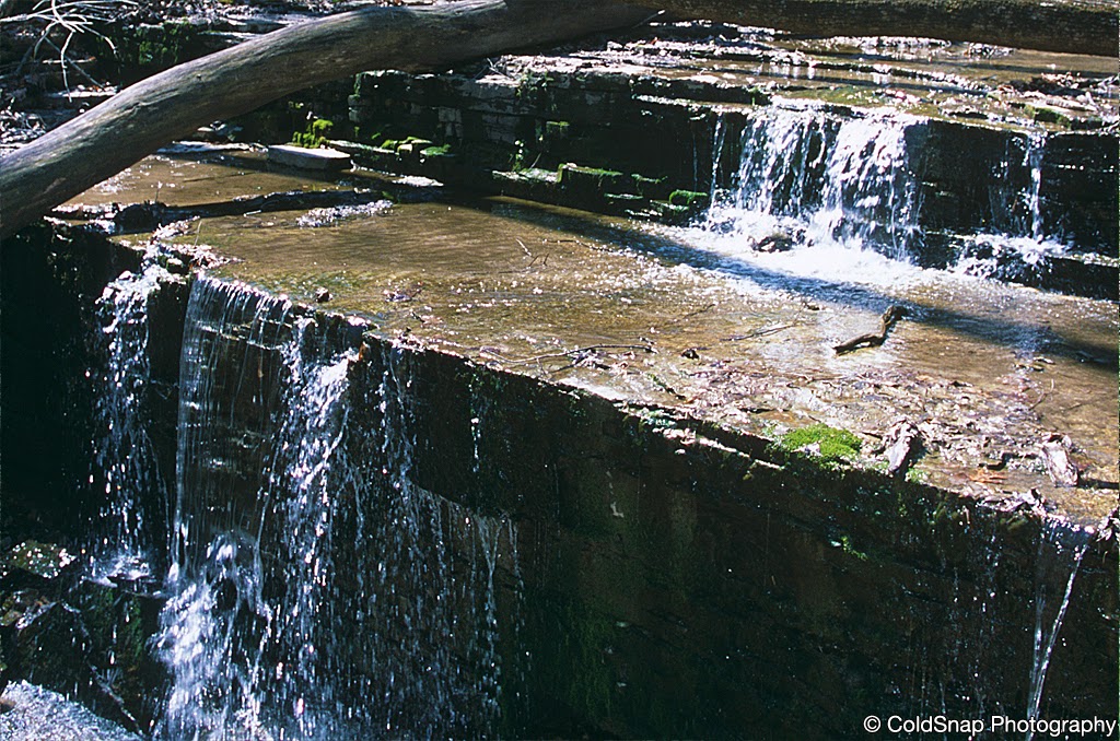 Prairie Creek Woods Scientific and Natural Area (SNA) | Johnson Trail, Nerstrand, MN 55053, USA | Phone: (507) 831-2900