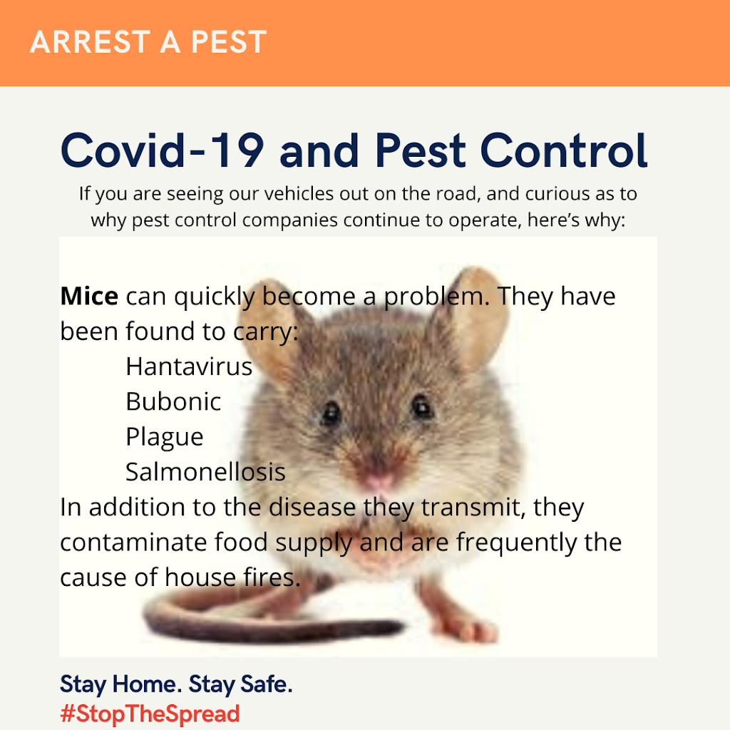 Arrest A Pest by PMP, Inc. | 1409 S Bebe St, Wichita, KS 67209, USA | Phone: (316) 945-8400