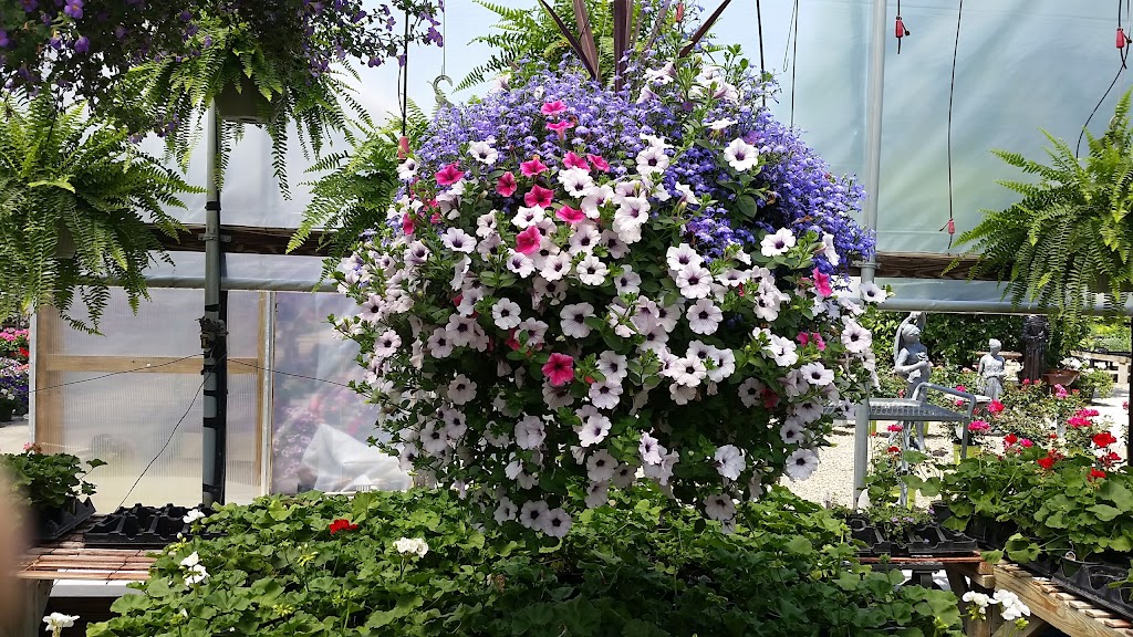 Kerns Florist and Greenhouse | 2438 Canton Rd, Akron, OH 44312, USA | Phone: (330) 699-6529