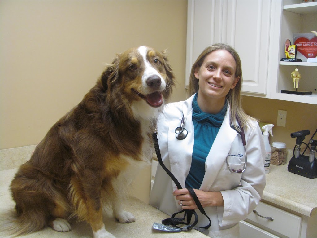 Valley Veterinary Clinic | 590 Vance Rd STE 101, Valley Park, MO 63088, USA | Phone: (636) 225-1155