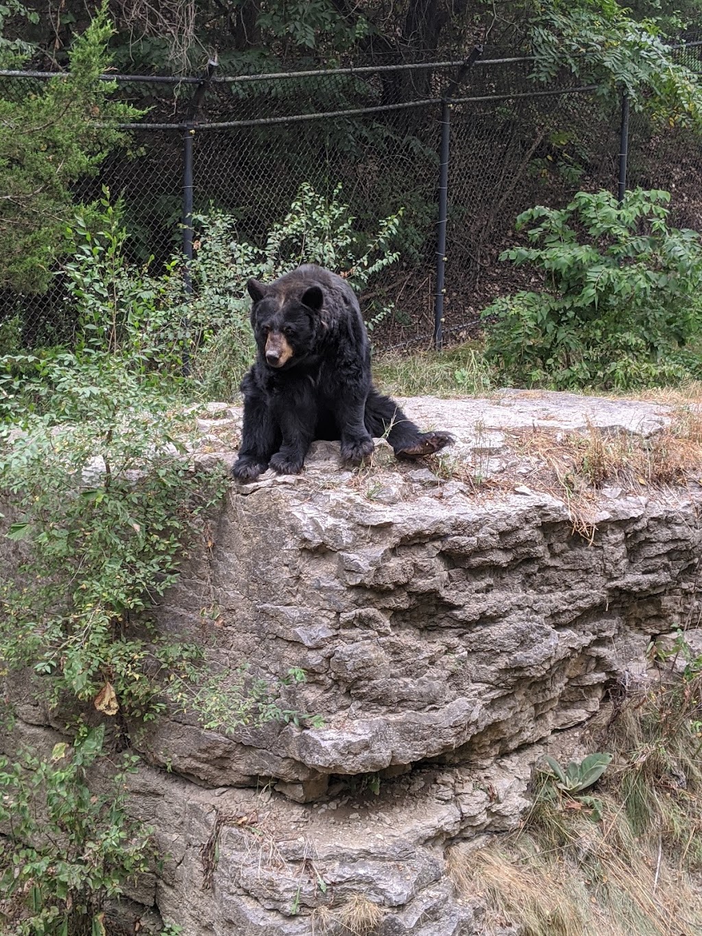 Nebraskas Wildlife Safari Park | 814 E Park Hwy, Ashland, NE 68003, USA | Phone: (402) 944-9453