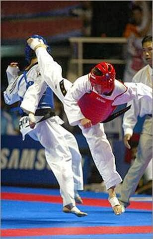 Great Lakes TKD | 43061 Mound Rd, Sterling Heights, MI 48314, USA | Phone: (586) 850-1356