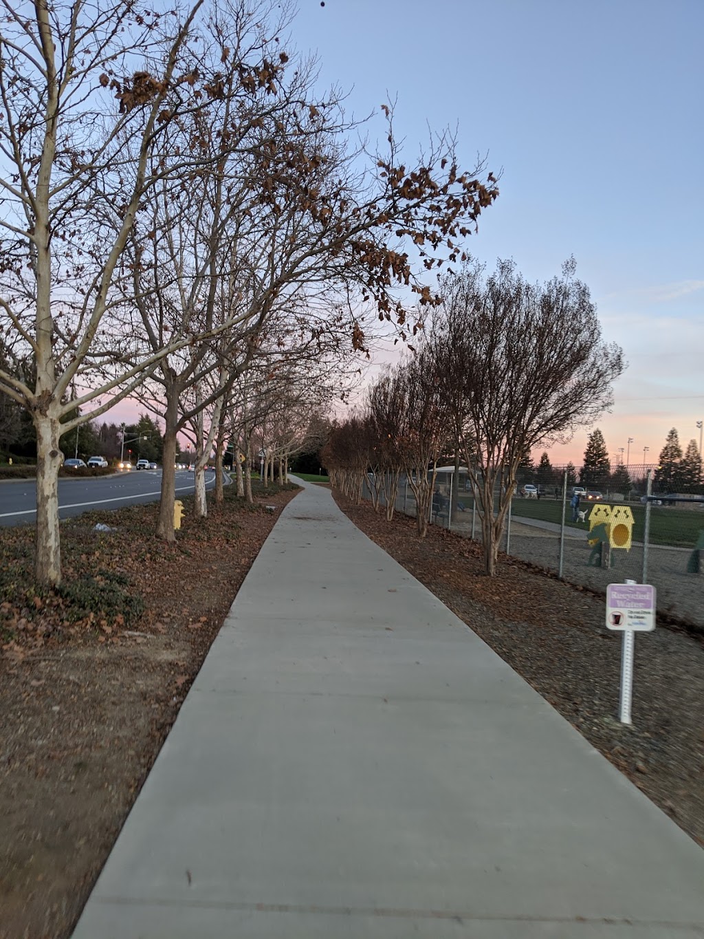 Bear Dog Park | 1565 Pleasant Grove Blvd, Roseville, CA 95747, USA | Phone: (916) 774-5200