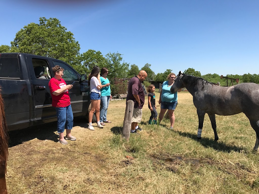 Circle J Guest Ranch | 8922 FM1861, Eustace, TX 75124, USA | Phone: (903) 479-4189