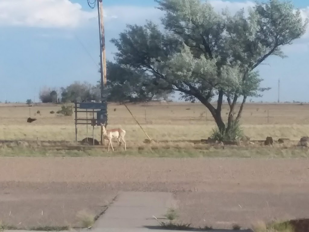 Bethel United Methodist Church - Moriarty, NM | 2700 NM-333, Moriarty, NM 87035, USA | Phone: (505) 832-4200