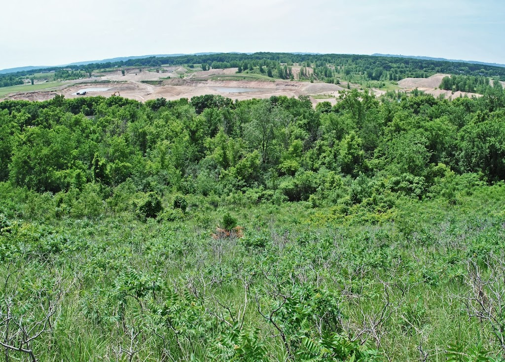 Trenton Bluff Prairie | Great River Rd, Hager City, WI 54014, USA | Phone: (608) 266-0394