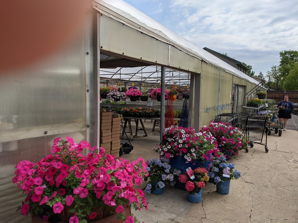 Farmington Greenhouse | 519 Willow St, Farmington, MN 55024, USA | Phone: (651) 463-7215