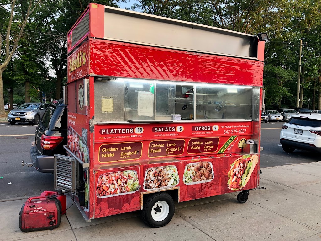 AFRIDI Halal Food Cart | 254-65 Nassau Blvd, Queens, NY 11362, USA | Phone: (347) 279-4857