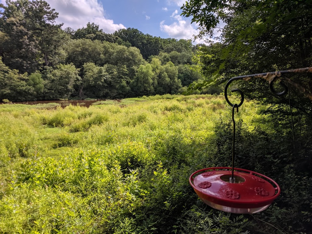 Clyde Shepherd Nature Preserve | 2580 Pine Bluff Dr, Decatur, GA 30033, USA | Phone: (678) 466-0572