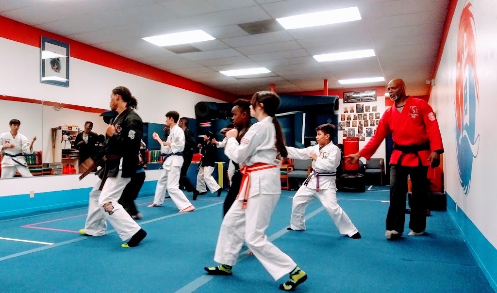 AC Raineys Kenpo Karate | 1608 SW Dash Point Rd Ste b, Federal Way, WA 98023, USA | Phone: (253) 838-1703