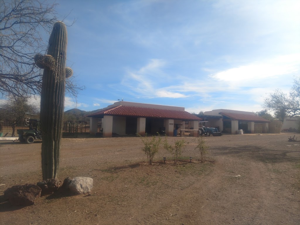 Palo Verde Ranch | 29290 s 85739, Paloverde Ranch Rd, Tucson, AZ 85712, USA | Phone: (307) 359-9625