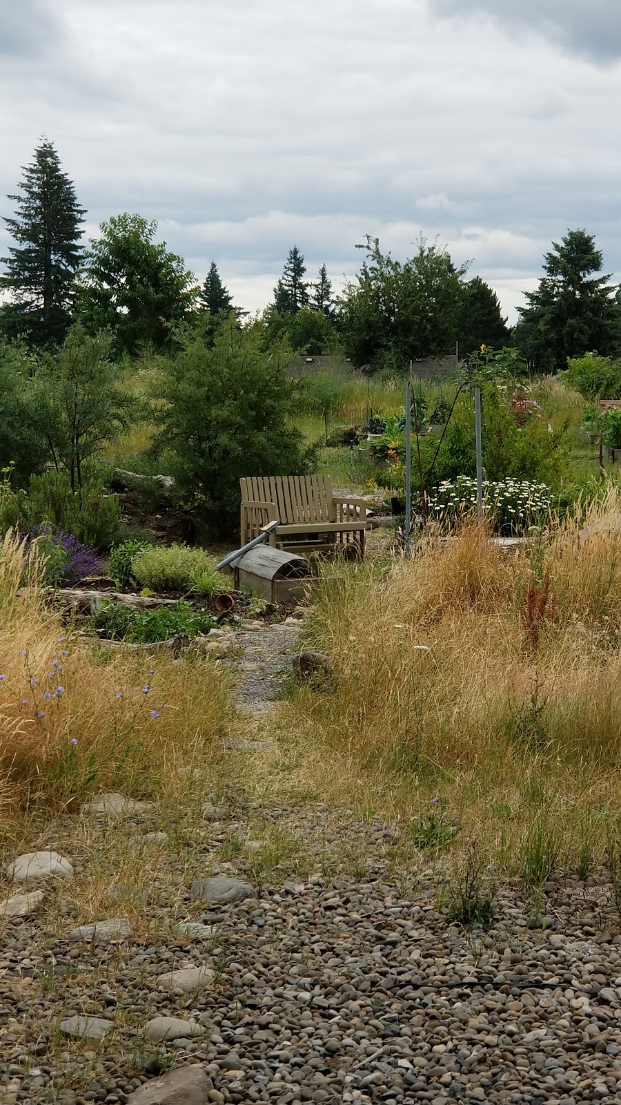 Dharma Rain Zen Center | 8500 NE Siskiyou St, Portland, OR 97220, USA | Phone: (503) 239-4846
