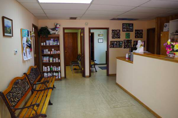 Clearview Animal Hospital | 3930 Hancock Expy, Colorado Springs, CO 80911, USA | Phone: (719) 392-3495