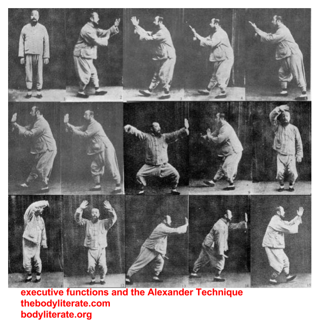 Tai chi of Memphis, TN - Rare Wu Style of Shanghai, China | 430 Canadaville Loop, Eads, TN 38028, USA | Phone: (901) 482-0849