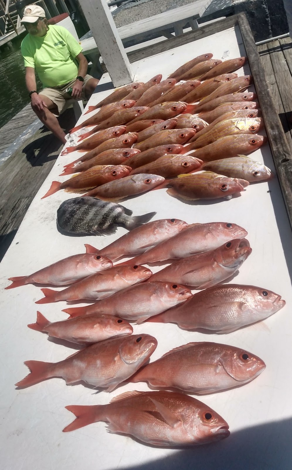 Sarasota Reef Charters LLC | 4658 Meadowview Cir, Sarasota, FL 34233, USA | Phone: (941) 681-0525