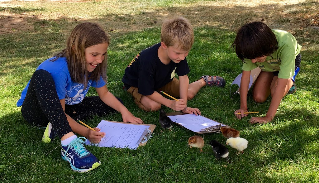 Running River School | 1370 Forest Park Cir, Lafayette, CO 80026, USA | Phone: (303) 499-2059