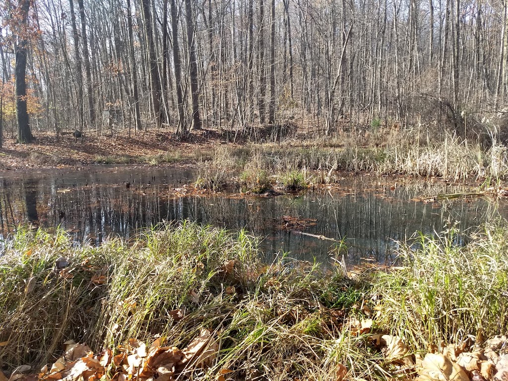 Natural Lands Meng Preserve | 226 Mine Hill Rd, Schwenksville, PA 19473, USA | Phone: (610) 353-5587