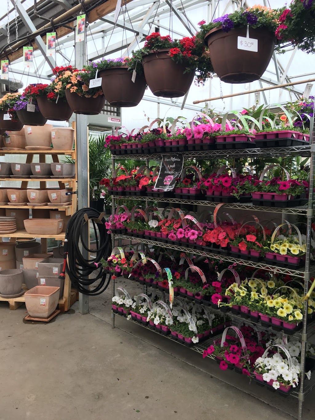 Lakes Floral, Gift & Garden | 508 Lake St S, Forest Lake, MN 55025, USA | Phone: (651) 464-2134