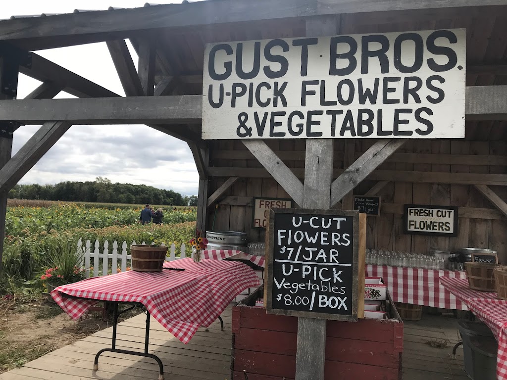 Gust Flower and Produce Farm | 11998 Rodesiler Hwy, Ottawa Lake, MI 49267, USA | Phone: (517) 605-2209