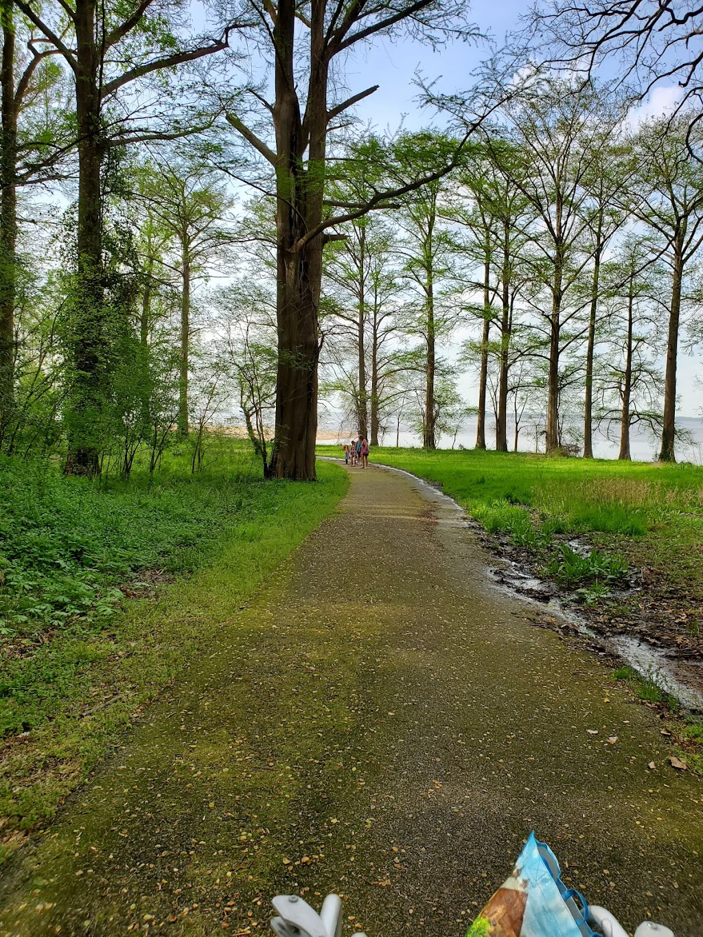 Chippokes State Park Pool Complex | Camp Store, Surry, VA 23883, USA | Phone: (757) 294-3728