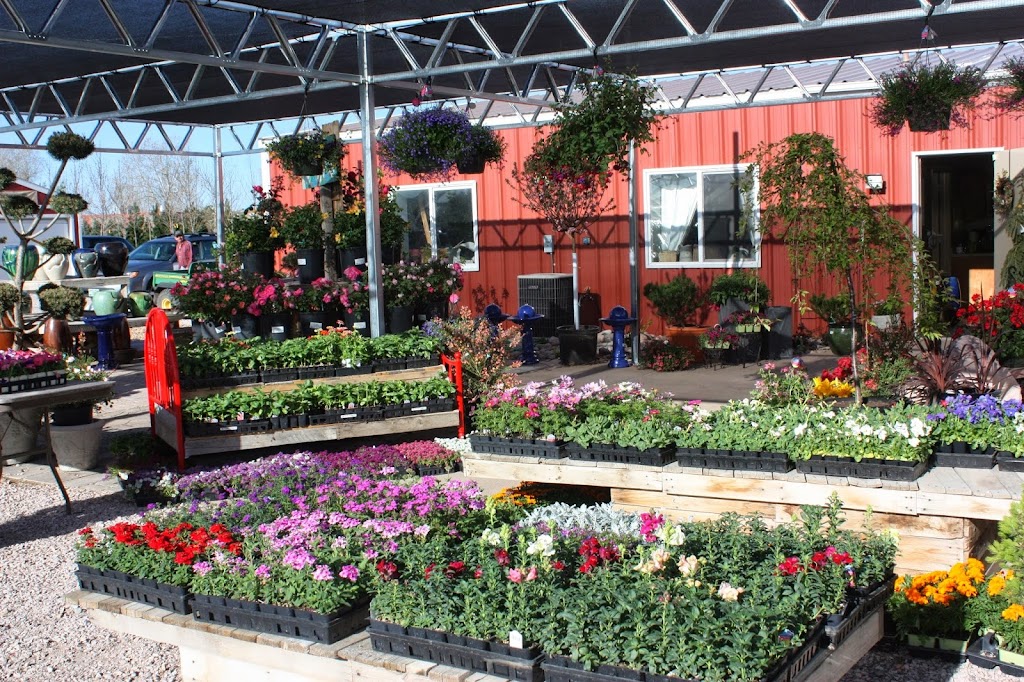 Pine Lane Nursery | 18200 Apache Dr, Parker, CO 80134, USA | Phone: (303) 841-3009