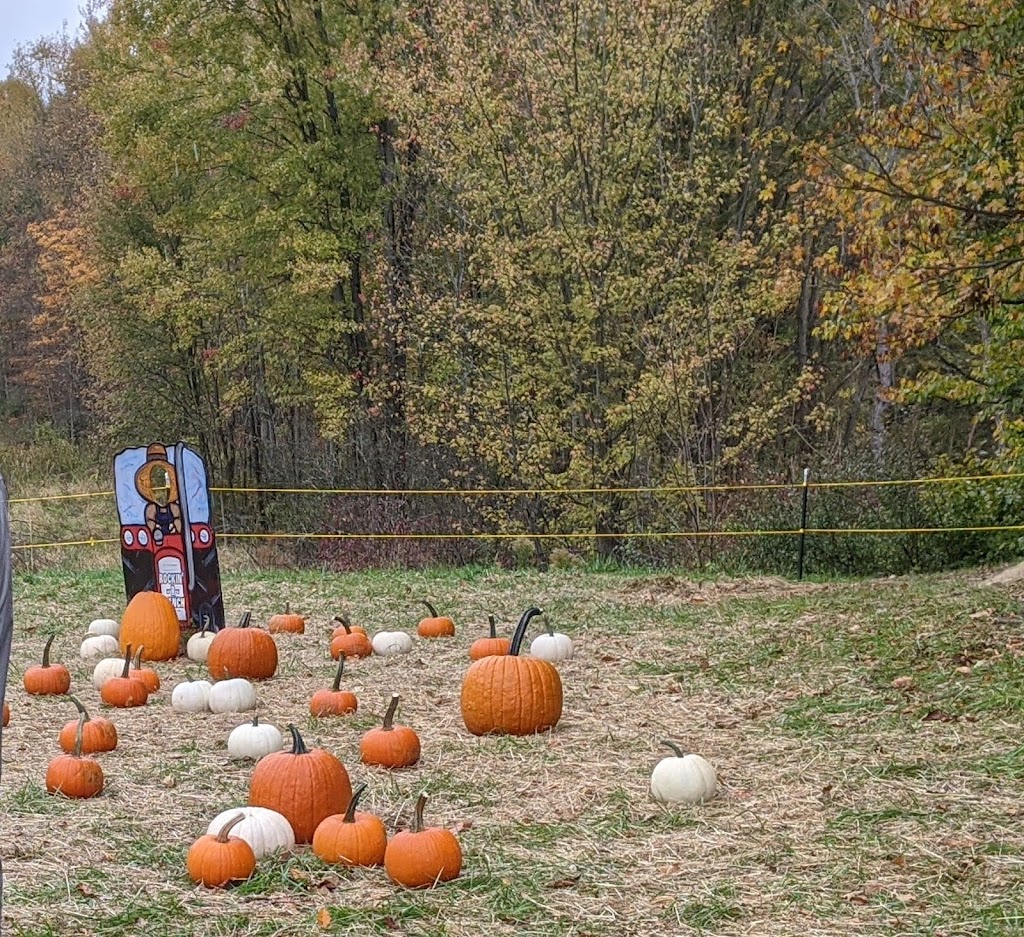 Old West Pumpkin Fest | 19066 E River Rd, Columbia Station, OH 44028, USA | Phone: (440) 236-5454