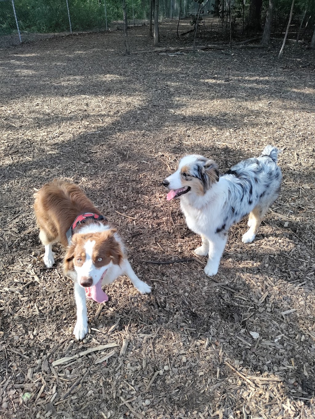 Swanson Dog Park | 9150 Central Ave NE, Blaine, MN 55434, USA | Phone: (763) 785-6164