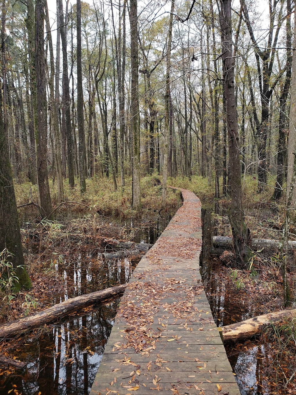 Howell Woods Environmental Learning Center | 6601 Devils Racetrack Rd, Four Oaks, NC 27524, USA | Phone: (919) 938-0115