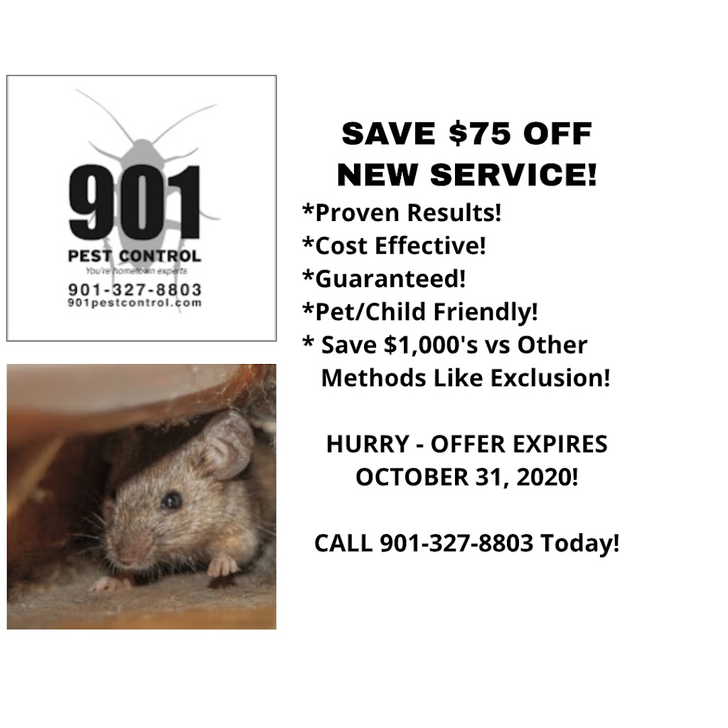 901 Pest Control - MS Office | 2170 Hwy 51 S #4, Hernando, MS 38632, USA | Phone: (662) 446-2124