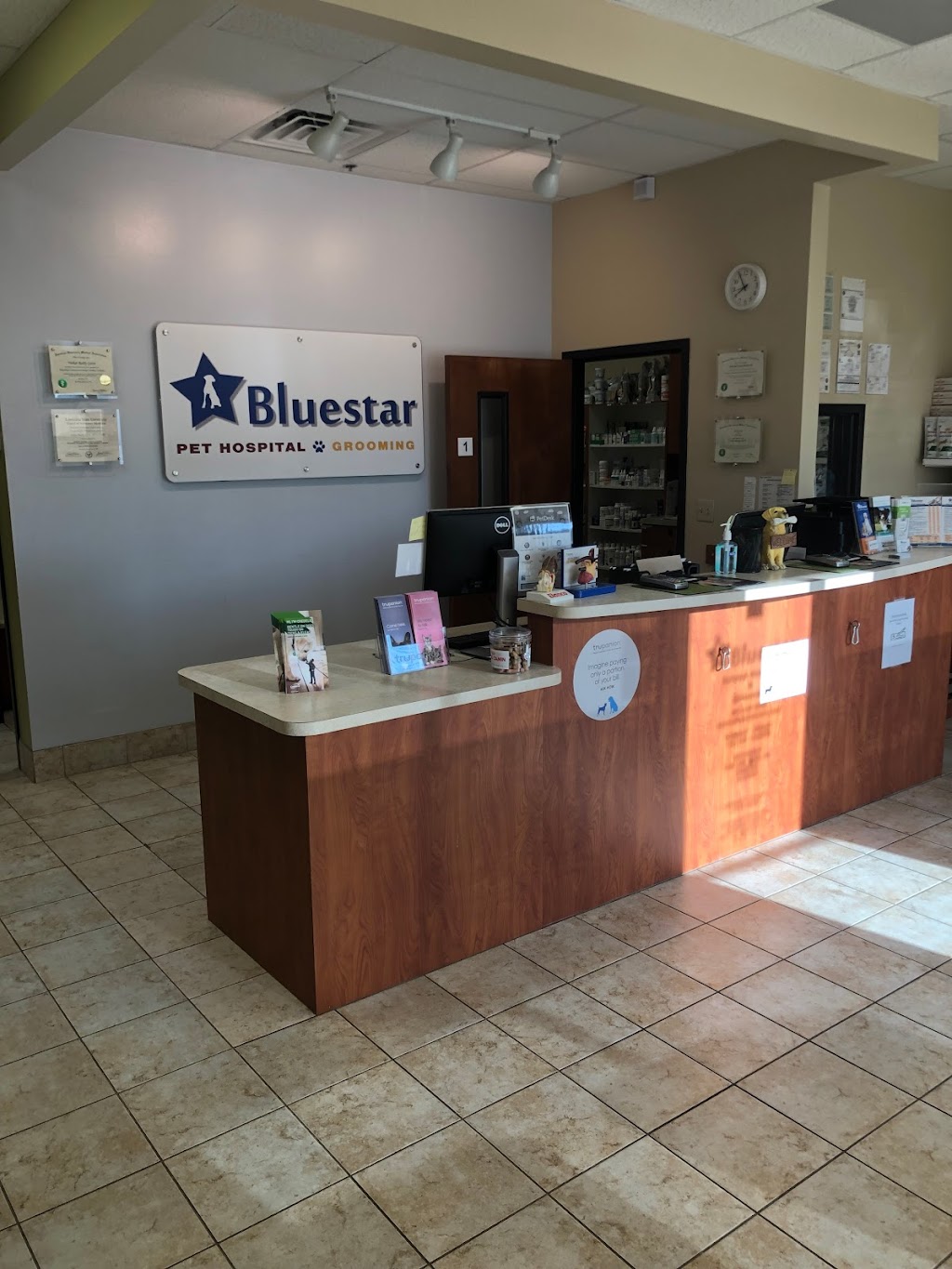 Bluestar Pet Hospital & Grooming | 2851 County Rd 210 #119, St Johns, FL 32259, USA | Phone: (904) 720-4275