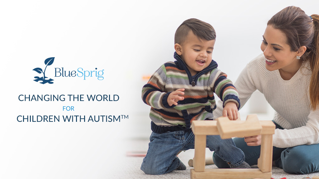 BlueSprig | 4491 Long Prairie Rd Suite 100, Flower Mound, TX 75028, USA | Phone: (469) 687-9184