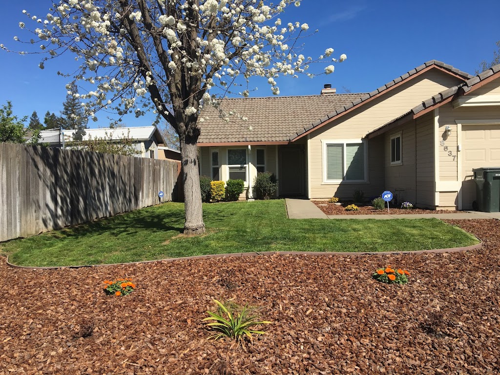 VB Garden | 7780 Southbreeze Dr, Sacramento, CA 95828, USA | Phone: (916) 730-3770