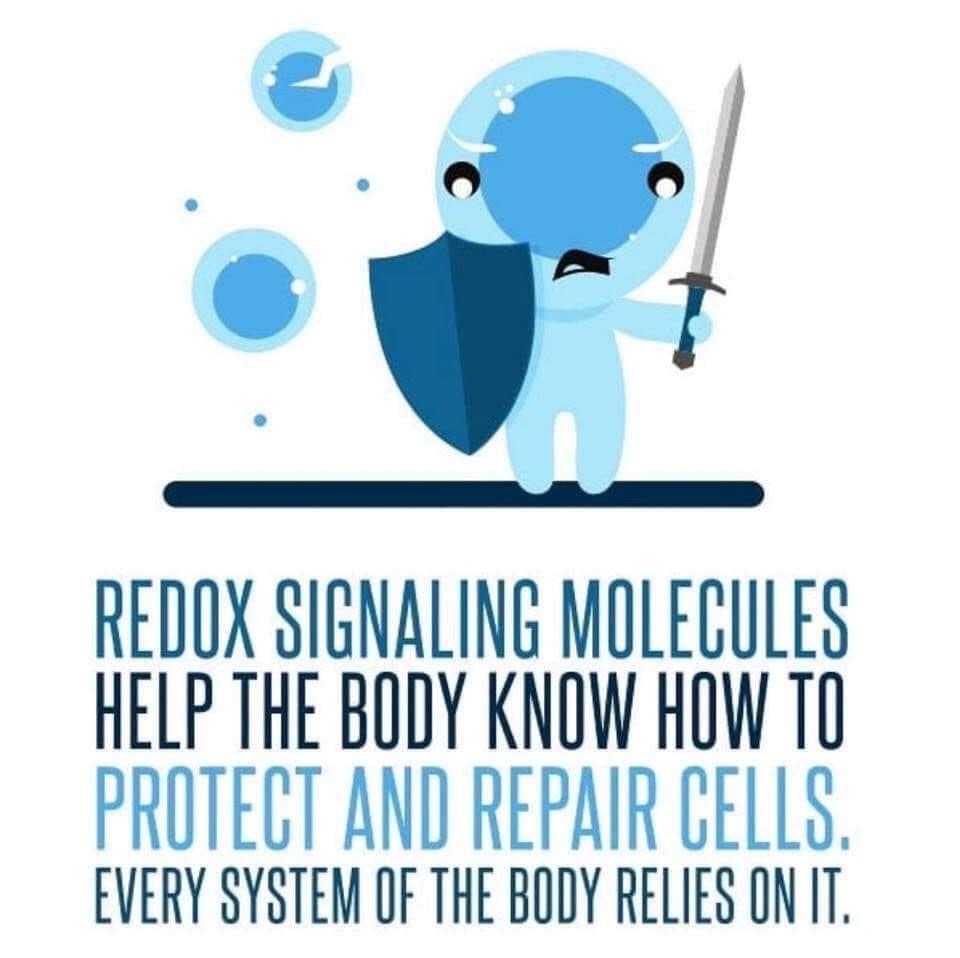 ASEA, Redox Signaling Molecules, NC | Cary, NC 27511 | Phone: (919) 368-3988