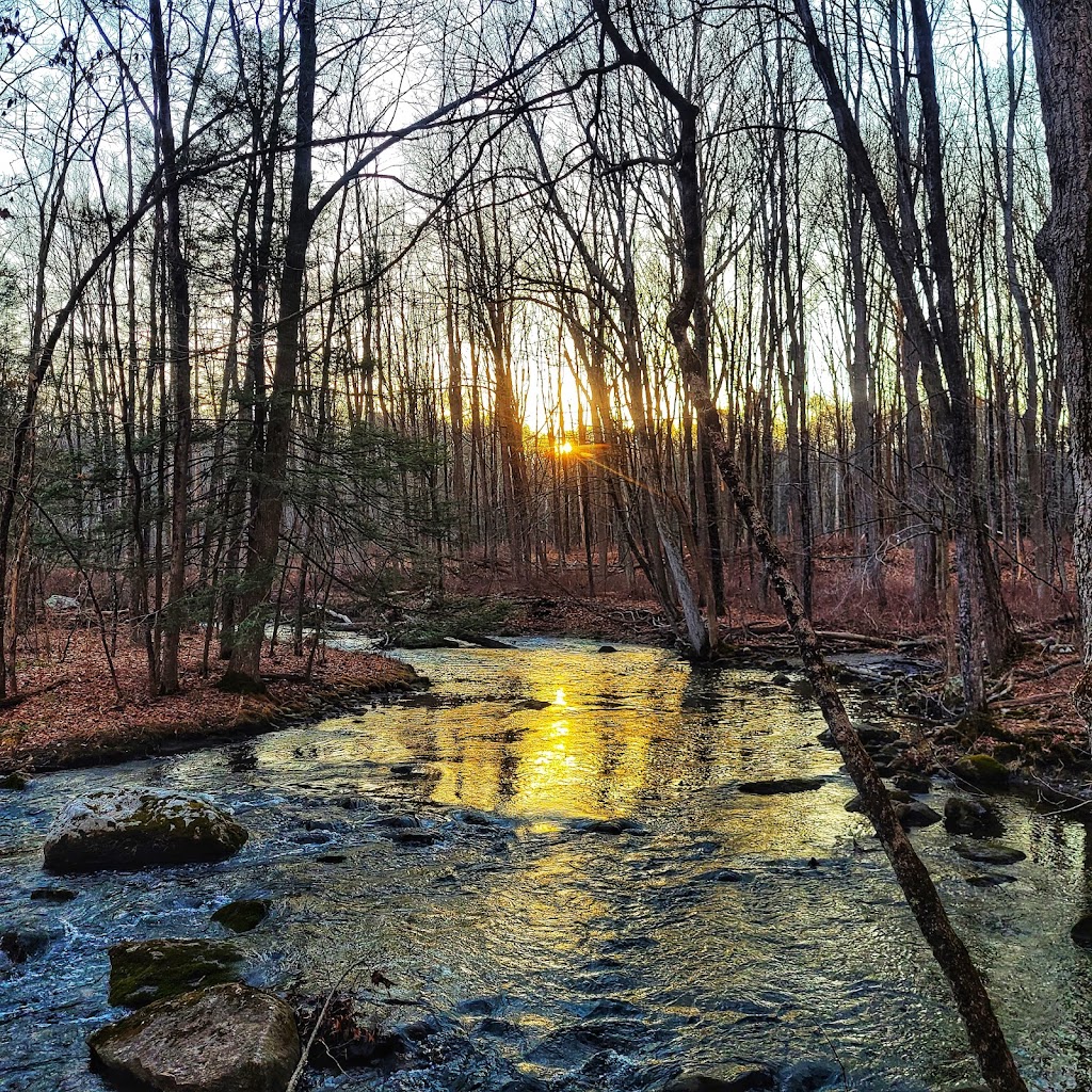 Amawalk Reservoir Fishing Area | US-202, Yorktown Heights, NY 10598, USA | Phone: (518) 402-8845