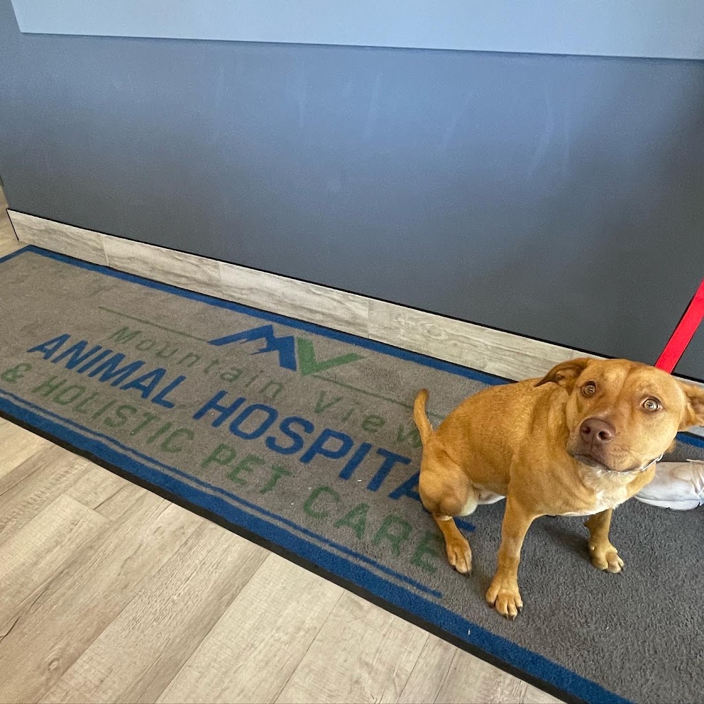 Mountain View Animal Hospital and Holistic Pet Care | 6474 Bonde Ln, Reno, NV 89511, USA | Phone: (775) 853-6900