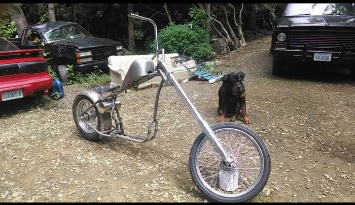 Wyldchyld Customs LLC | 1340 Cox Store Rd SW, Floyd, VA 24091, USA | Phone: (276) 252-8159