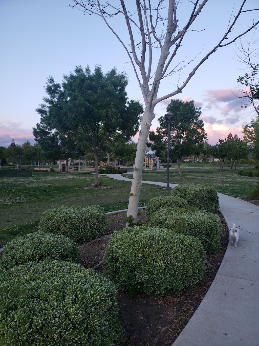 Solera Gardens Park | 6010 Miramonte Dr, Bakersfield, CA 93306, USA | Phone: (661) 326-3866