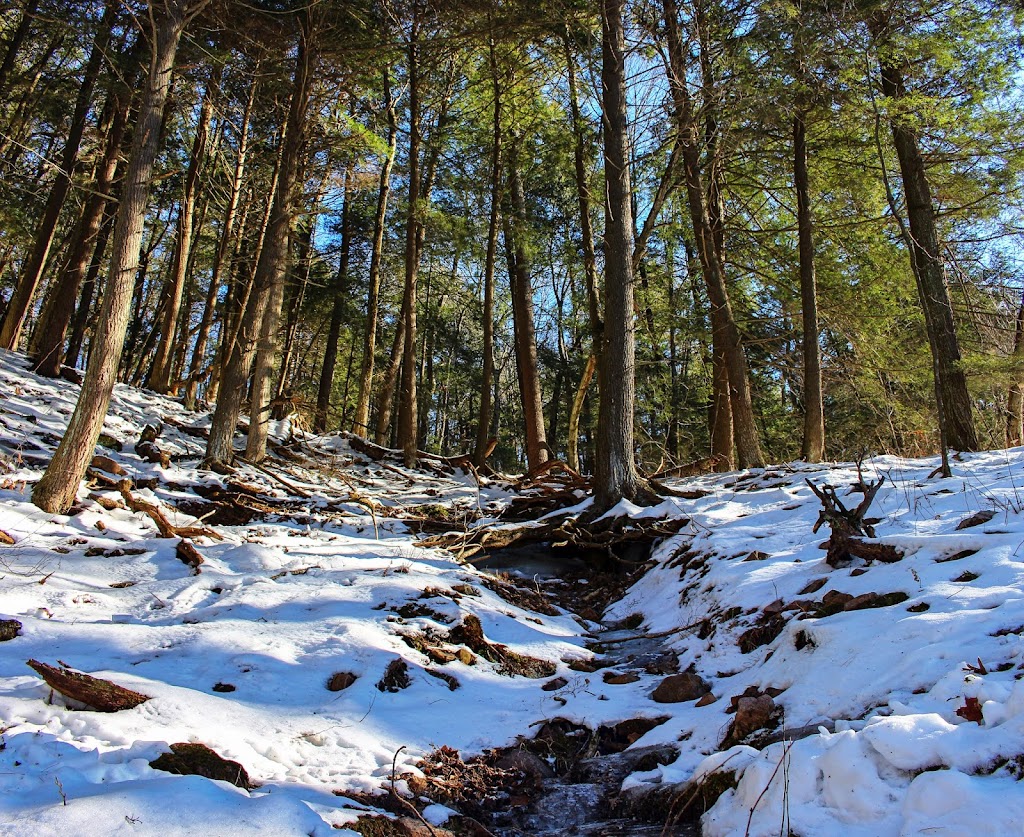 Pine Hollow State Natural Area | North Freedom, WI 53951, USA | Phone: (608) 356-5300